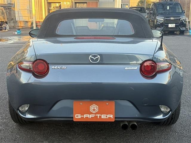 ���Ǝҗl�ւ̔̔��͂��f�肳���Ă��������܂��B �Ԍ������ԗ��̏ꍇ�́A�Ԍ����擾�������x�������z�ŕ\�����Ă���܂��B