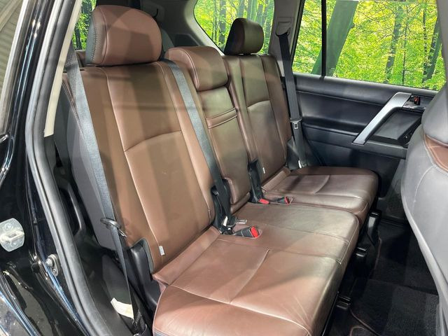 �㕔���Ȃ��C�ɂȂ�悤�ȃL�Y�E�����ւ��蓙�A�傫�ȃ_���[�W�͂Ȃ��A�ǍD�ȏ�Ԃł��B