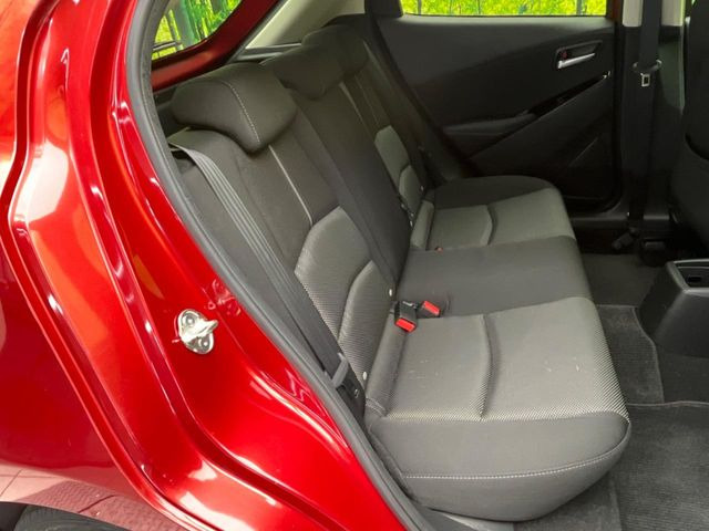 �㕔���Ȃ��C�ɂȂ�悤�ȃL�Y�E�����ւ��蓙�A�傫�ȃ_���[�W�͂Ȃ��A�ǍD�ȏ�Ԃł��B