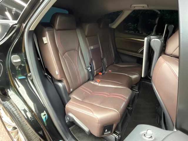 �㕔���Ȃ��C�ɂȂ�悤�ȃL�Y�E�����ւ��蓙�A�傫�ȃ_���[�W�͂Ȃ��A�ǍD�ȏ�Ԃł��B