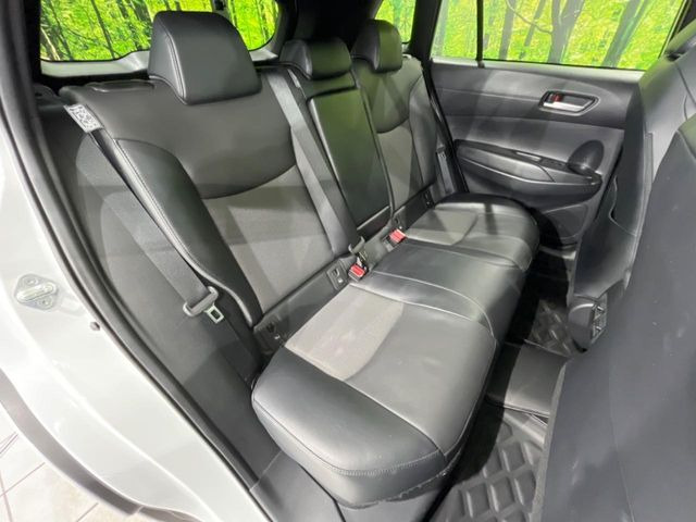 �㕔���Ȃ��C�ɂȂ�悤�ȃL�Y�E�����ւ��蓙�A�傫�ȃ_���[�W�͂Ȃ��A�ǍD�ȏ�Ԃł��B