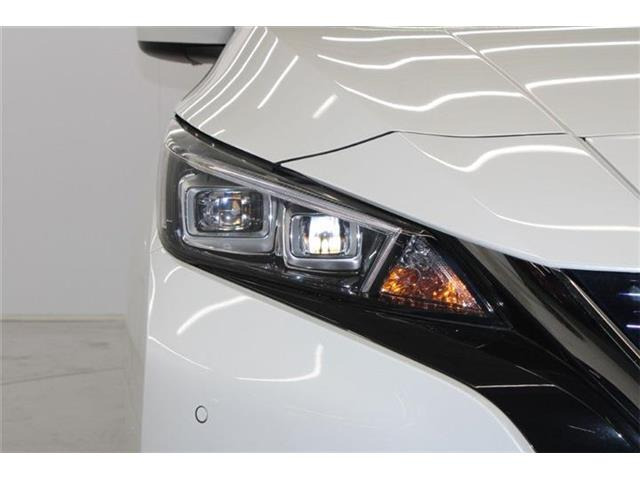 ���Ǝҗl�ւ̔̔��͂��f�肳���Ă��������܂��B �Ԍ������ԗ��̏ꍇ�́A�Ԍ����擾�������x�������z�ŕ\�����Ă���܂��B