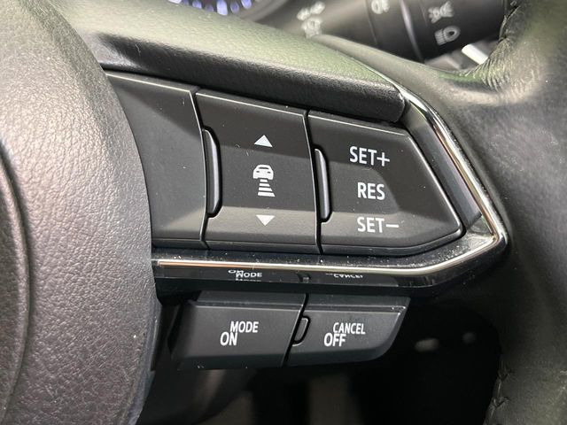 �y�}�c�_�E���[�_�[�N���[�Y�R���g���[���z�������H�ł̒��������s���y��!�����ő��x��ۂN���[�Y�R���g���[�����A�Փˌy���V�X�e���ƘA�g���A�O���̎ԗ������m���ĎԊԂ�ۂ悤�ɑ��x���߂��Ă���܂�!!