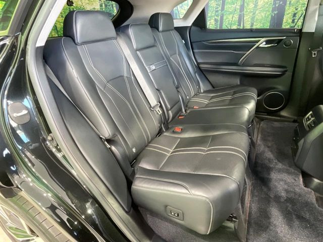 �㕔���Ȃ��C�ɂȂ�悤�ȃL�Y�E�����ւ��蓙�A�傫�ȃ_���[�W�͂Ȃ��A�ǍD�ȏ�Ԃł��B