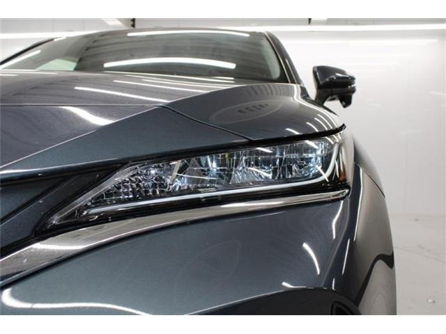 ���Ǝҗl�ւ̔̔��͂��f�肳���Ă��������܂��B �Ԍ������ԗ��̏ꍇ�́A�Ԍ����擾�������x�������z�ŕ\�����Ă���܂��B