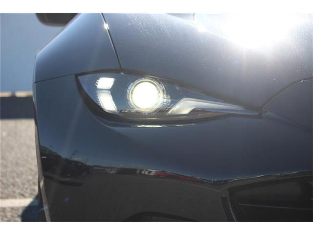 ���Ǝҗl�ւ̔̔��͂��f�肳���Ă��������܂��B �Ԍ������ԗ��̏ꍇ�́A�Ԍ����擾�������x�������z�ŕ\�����Ă���܂��B