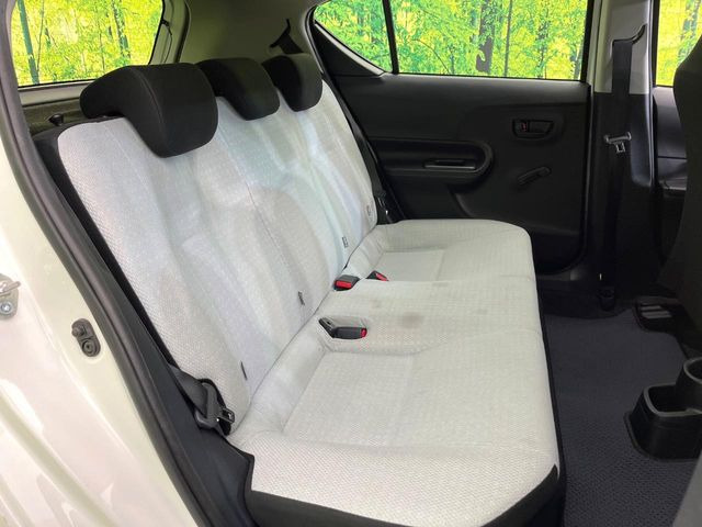 �㕔���Ȃ��C�ɂȂ�悤�ȃL�Y�E�����ւ��蓙�A�傫�ȃ_���[�W�͂Ȃ��A�ǍD�ȏ�Ԃł��B