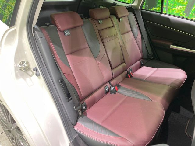 �㕔���Ȃ��C�ɂȂ�悤�ȃL�Y�E�����ւ��蓙�A�傫�ȃ_���[�W�͂Ȃ��A�ǍD�ȏ�Ԃł��B