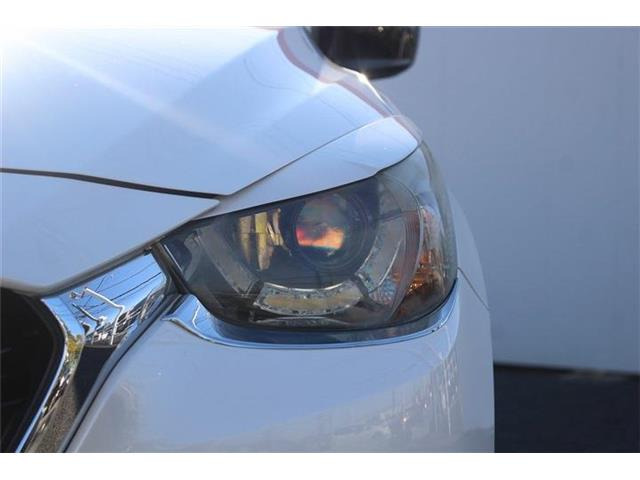 ���Ǝҗl�ւ̔̔��͂��f�肳���Ă��������܂��B �Ԍ������ԗ��̏ꍇ�́A�Ԍ����擾�������x�������z�ŕ\�����Ă���܂��B