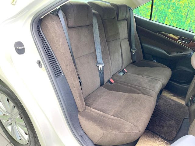 �㕔���Ȃ��C�ɂȂ�悤�ȃL�Y�E�����ւ��蓙�A�傫�ȃ_���[�W�͂Ȃ��A�ǍD�ȏ�Ԃł��B