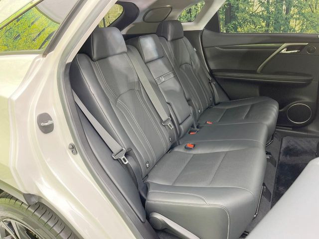 �㕔���Ȃ��C�ɂȂ�悤�ȃL�Y�E�����ւ��蓙�A�傫�ȃ_���[�W�͂Ȃ��A�ǍD�ȏ�Ԃł��B