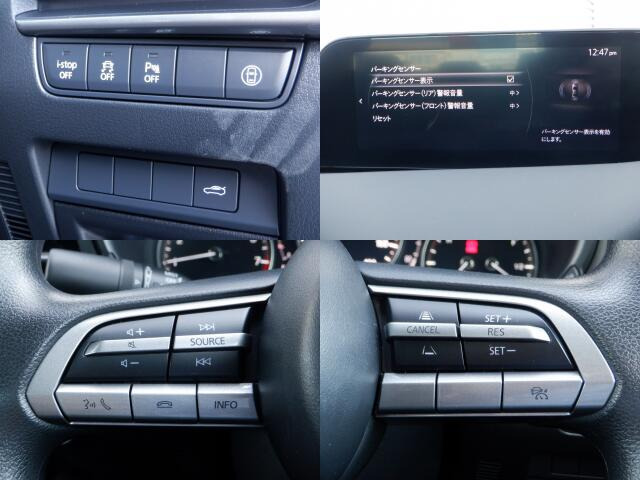 ������E�X�s���h�~�̈��S���u�𑕔����Ă���܂��B�����I�Ƀu���[�L�E�A�N�Z���𐧌䂵�ċ��������肳���鑕�u�ł��B�����Ƃ����������S�̑����ł��B