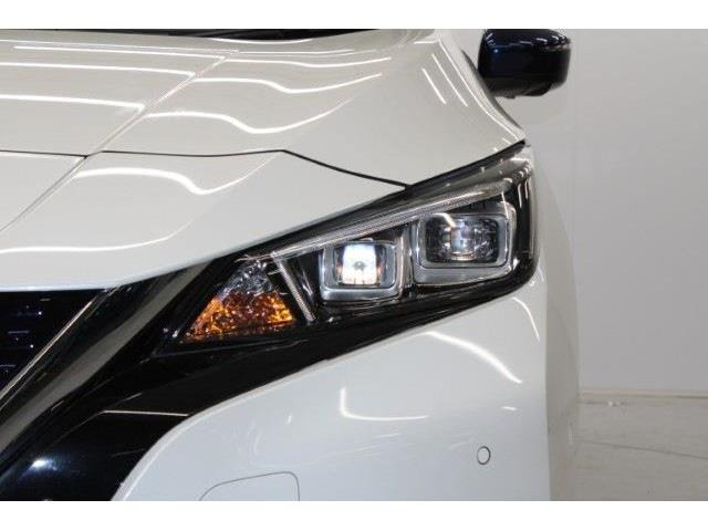 ���Ǝҗl�ւ̔̔��͂��f�肳���Ă��������܂��B �Ԍ������ԗ��̏ꍇ�́A�Ԍ����擾�������x�������z�ŕ\�����Ă���܂��B