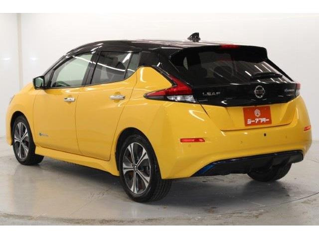 ���Ǝҗl�ւ̔̔��͂��f�肳���Ă��������܂��B �Ԍ������ԗ��̏ꍇ�́A�Ԍ����擾�������x�������z�ŕ\�����Ă���܂��B