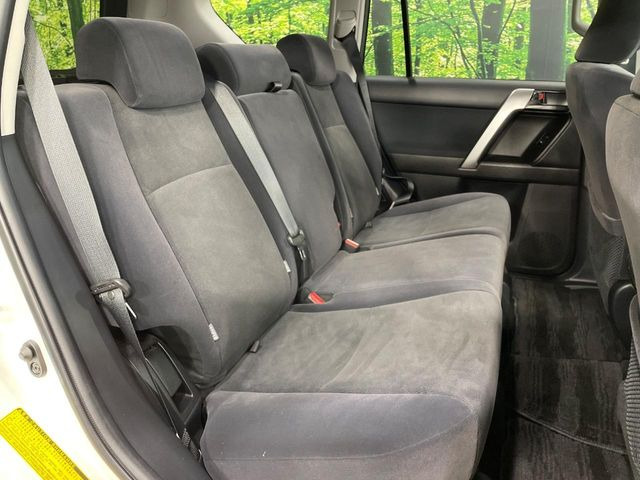 �㕔���Ȃ��C�ɂȂ�悤�ȃL�Y�E�����ւ��蓙�A�傫�ȃ_���[�W�͂Ȃ��A�ǍD�ȏ�Ԃł��B