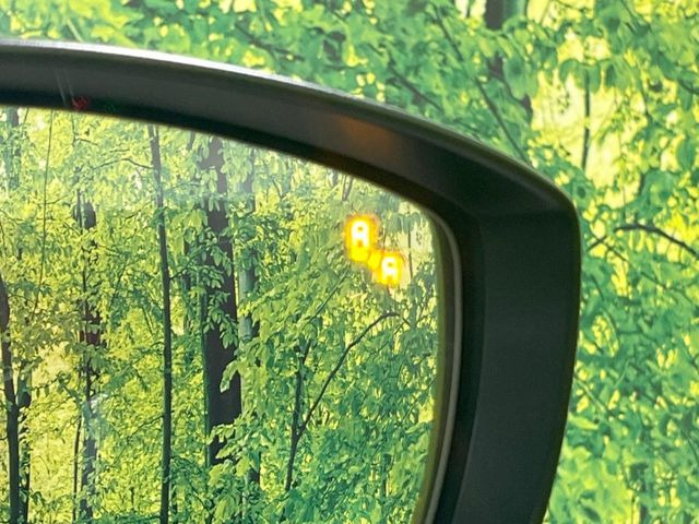 �y�u���C���h�X�|�b�g���j�^�����O�z���s���A�h�A�~���[�̎��p�ɂȂ�₷���ӏ��Ɍ㑱�Ԃ��ڋ߂���ƃT�C�h�~���[�t�߂Ɍx����\���A�h���C�o�[�ɒ��ӊ��N�����Ă���܂��B