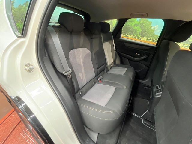 �㕔���Ȃ��C�ɂȂ�悤�ȃL�Y�E�����ւ��蓙�A�傫�ȃ_���[�W�͂Ȃ��A�ǍD�ȏ�Ԃł��B