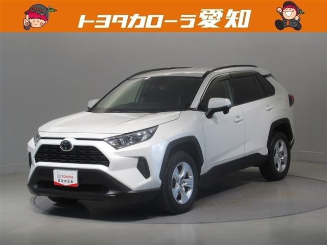 RAV42.0 X