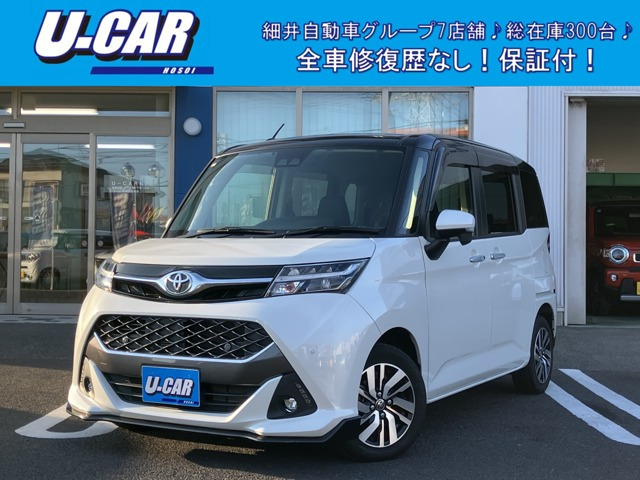 タンク1.0 カスタム G