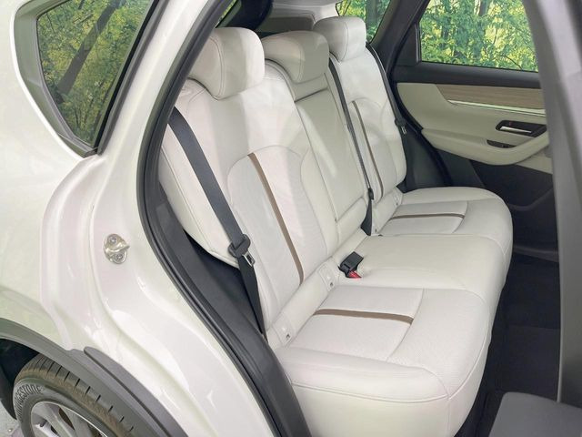 �㕔���Ȃ��C�ɂȂ�^�]�ȃV�[�g���͎g�p�������Ȃ��A�ǍD�ȏ�ԂƂȂ��Ă��܂��B�O�I�[�i�[�l�����J�Ɏg���Ă������Ƃ��悭�킩��܂��ˁB�悤�ȃL�Y�E�����ւ��蓙�A�傫�ȃ_���[�W�͂Ȃ��A�ǍD�ȏ�Ԃł��B