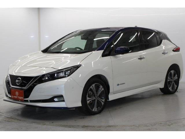 ���Ǝҗl�ւ̔̔��͂��f�肳���Ă��������܂��B �Ԍ������ԗ��̏ꍇ�́A�Ԍ����擾�������x�������z�ŕ\�����Ă���܂��B