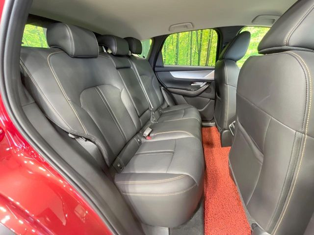 �㕔���Ȃ��C�ɂȂ�悤�ȃL�Y�E�����ւ��蓙�A�傫�ȃ_���[�W�͂Ȃ��A�ǍD�ȏ�Ԃł��B