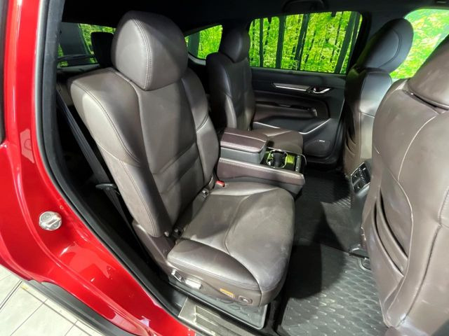 �㕔���Ȃ��C�ɂȂ�悤�ȃL�Y�E�����ւ��蓙�A�傫�ȃ_���[�W�͂Ȃ��A�ǍD�ȏ�Ԃł��B