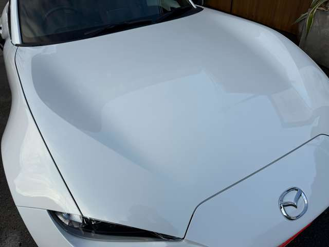 �{�f�B�[�J���[�E�N���X�^���z���C�g�p�[���}�C�J�ƂȂ��Ă���܂���