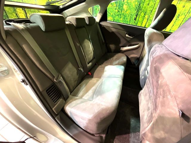 �㕔���Ȃ��C�ɂȂ�悤�ȃL�Y�E�����ւ��蓙�A�傫�ȃ_���[�W�͂Ȃ��A�ǍD�ȏ�Ԃł��B