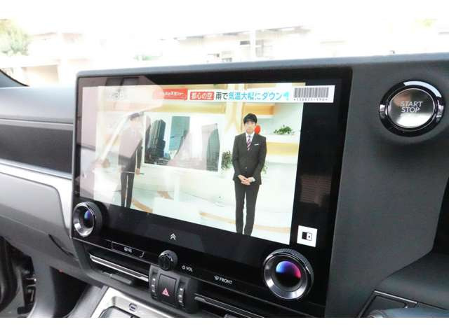 �����n�f�WTV�E�^�b�`�p�l���f�B�X�v���C�B