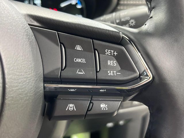 �y�}�c�_�E���[�_�[�N���[�Y�R���g���[���z�������H�ł̒��������s���y��!�����ő��x��ۂN���[�Y�R���g���[�����A�Փˌy���V�X�e���ƘA�g���A�O���̎ԗ������m���ĎԊԂ�ۂ悤�ɑ��x���߂��Ă���܂�!!