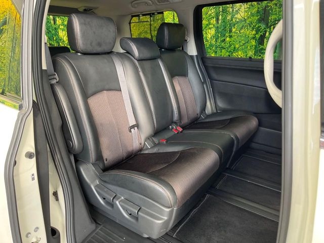 �㕔���Ȃ��C�ɂȂ�悤�ȃL�Y�E�����ւ��蓙�A�傫�ȃ_���[�W�͂Ȃ��A�ǍD�ȏ�Ԃł��B