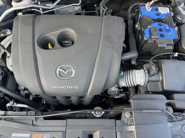 �����Ђł́A�S�ԁw�C�����Ȃ��x�̂��Ԃ̂ݎ�舵���Ă���܂��B��C�o�C���[�ɂ�錵�I�����d����̌�A���Ɍ�̎ԗ��`�F�b�N���s���A�l�N�X�e�[�W���F�肵�����i���Ȓ��ÎԂ����񋟂��Ă���܂��B