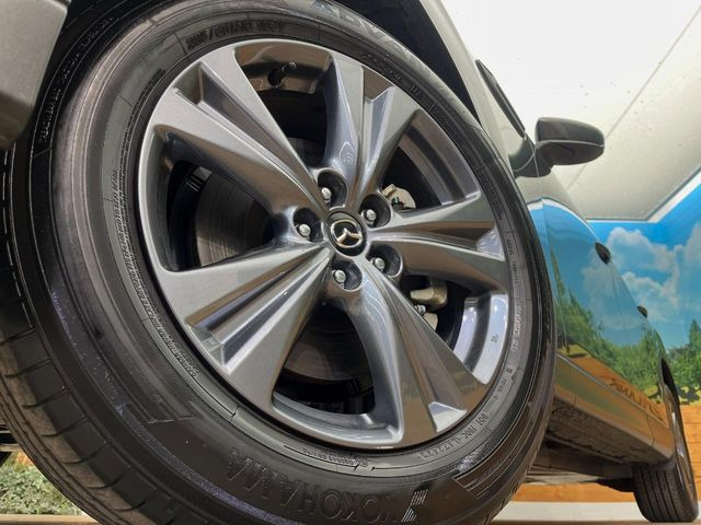 �y�����A���~�z�C�[���z�O�ςɃ}�b�`���������A���~�z�C�[���𑕒����Ă���܂��B�e��ЊO�A���~�z�C�[����A�X�^�b�h���X�^�C�����戵�����Ă���܂��B���񂲑��k����������