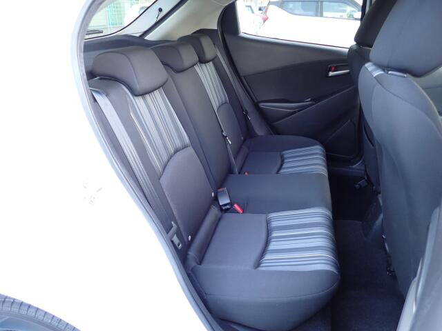 �㕔���Ȃ��傫�ȎC����Ȃ���ԗǍD�ł��B