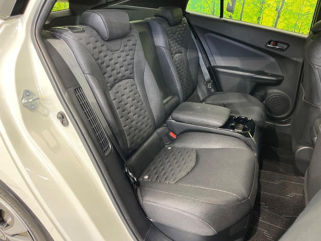 �㕔���Ȃ��C�ɂȂ�悤�ȃL�Y�E�����ւ��蓙�A�傫�ȃ_���[�W�͂Ȃ��A�ǍD�ȏ�Ԃł��B