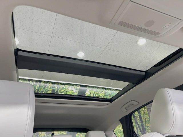 �y�T�����[�t�z�J���������Ղ�̊󏭑����A�T�����[�t����������Ă��܂�!�ԓ��ɖ�����������ꂽ��i�F���y���ވȊO�ɂ��A�ԓ��̋�C���ȒP�Ɋ��C�ł��ĉ��K�ł�!