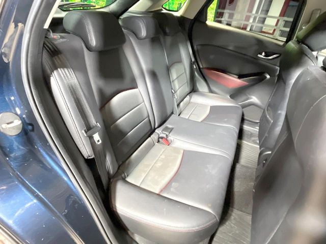 �㕔���Ȃ��C�ɂȂ�悤�ȃL�Y�E�����ւ��蓙�A�傫�ȃ_���[�W�͂Ȃ��A�ǍD�ȏ�Ԃł��B