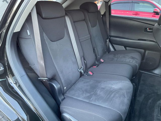 �㕔���Ȃ��C�ɂȂ�悤�ȃL�Y�E�����ւ��蓙�A�傫�ȃ_���[�W�͂Ȃ��A�ǍD�ȏ�Ԃł��B