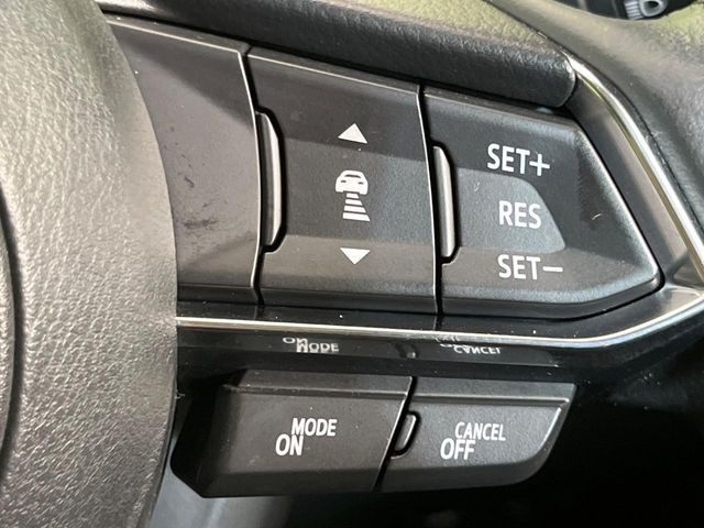 �y�}�c�_�E���[�_�[�N���[�Y�R���g���[���z�������H�ł̒��������s���y��!�����ő��x��ۂN���[�Y�R���g���[�����A�Փˌy���V�X�e���ƘA�g���A�O���̎ԗ������m���ĎԊԂ�ۂ悤�ɑ��x���߂��Ă���܂�!!