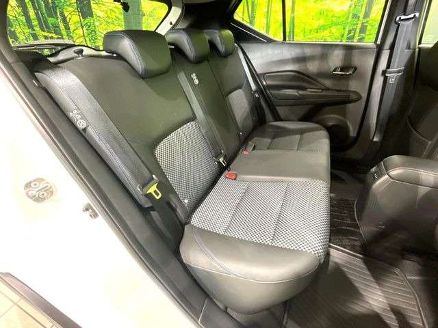 �㕔���Ȃ��C�ɂȂ�悤�ȃL�Y�E�����ւ��蓙�A�傫�ȃ_���[�W�͂Ȃ��A�ǍD�ȏ�Ԃł��B