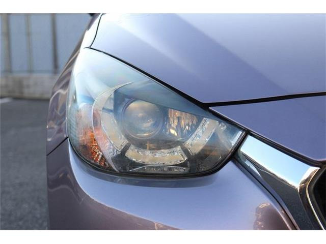 ���Ǝҗl�ւ̔̔��͂��f�肳���Ă��������܂��B �Ԍ������ԗ��̏ꍇ�́A�Ԍ����擾�������x�������z�ŕ\�����Ă���܂��B