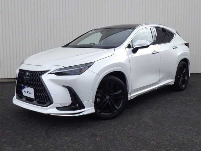 NX350h バージョンL