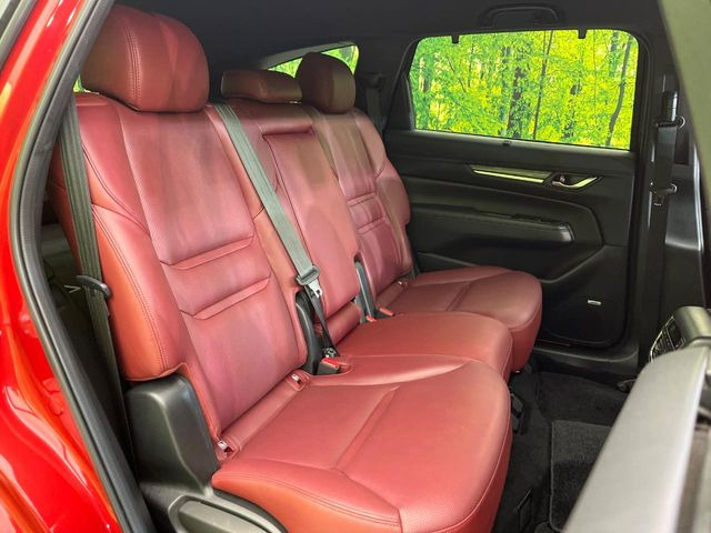 �㕔���Ȃ��C�ɂȂ�悤�ȃL�Y�E�����ւ��蓙�A�傫�ȃ_���[�W�͂Ȃ��A�ǍD�ȏ�Ԃł��B