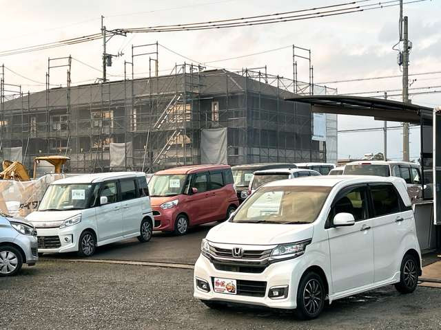 �y39.8���X�J�[�Y�̎��q���������������A���ɂ��肪�Ƃ��������܂��B���������S�s���c1186-7TEL:0942-73-6060�܂ł��⍇����������