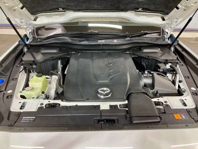 �y�E�B���X�΍�z���X�̂��Ԃ͑S�ԂɎԓ����L�E�R�ۃR�[�e�B���O���s���Ă���܂�!�v���̃X�^�b�t��1��1�䒚�J���݂��݂܂��Y��ɂ��Ă��q�l�̂��茳�ɂ��n���������܂��B