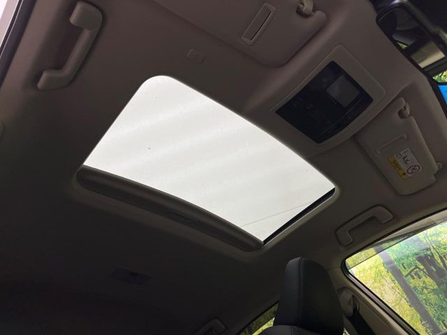 �y�T�����[�t�z�J���������Ղ�̊󏭑����A�T�����[�t����������Ă��܂�!�ԓ��ɖ�����������ꂽ��i�F���y���ވȊO�ɂ��A�ԓ��̋�C���ȒP�Ɋ��C�ł��ĉ��K�ł�!