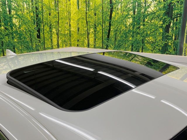 �y���[�����[�t�z�J���������Ղ�̊󏭑����A���[�����[�t����������Ă��܂�!�ԓ��ɖ�����������ꂽ��i�F���y���ވȊO�ɂ��A�ԓ��̋�C���ȒP�Ɋ��C�ł��ĉ��K�ł�!