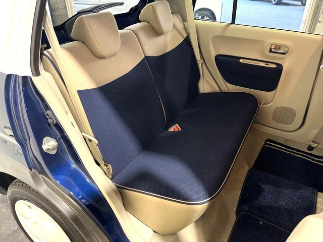 �㕔���Ȃ��C�ɂȂ�悤�ȃL�Y�E�����ւ��蓙�A�傫�ȃ_���[�W�͂Ȃ��A�ǍD�ȏ�Ԃł��B