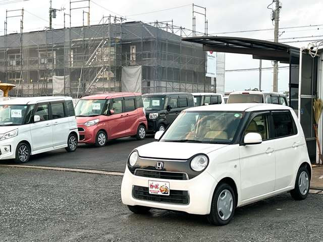 �y39.8���X�J�[�Y�̎��q���������������A���ɂ��肪�Ƃ��������܂��B���������S�s���c1186-7TEL:0942-73-6060�܂ł��⍇����������